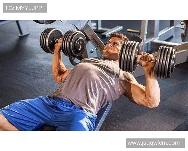 练背的健身器材动作要领：背部训练器材的正确使用技巧解析